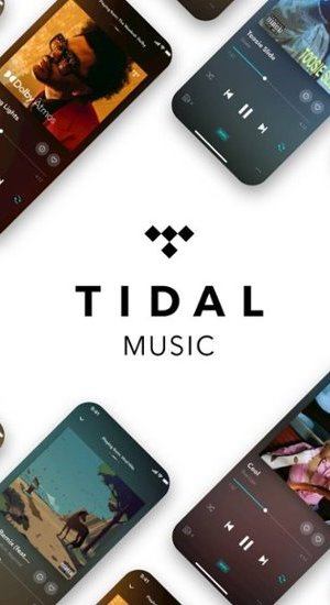 Import Spotify playlist to Tidal